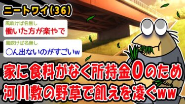 【2ch人情屋台】【バカ】家に食料がなく所持金0のため河川敷の野草で飢えを凌ぐww【2ch面白いスレ】