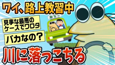 【なんJ民の巣窟】【2ch面白スレ】ワイ、自動車教習中に川に落ちる【ゆっくり解説】