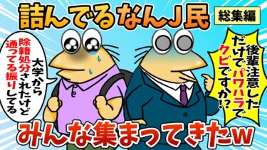 【なんJ民の巣窟】【総集編】2chの面白スレ集めてみたpart.81【作業用】【ゆっくり解説】