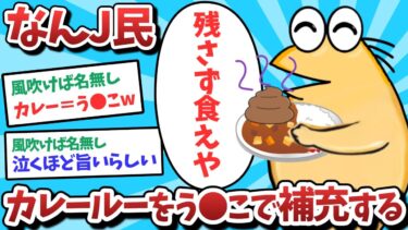 【俺たち天才なんJ民】【悲報】なんJ民、カレールーをう⚫️こで補充してしまうｗｗｗ【2ch面白いスレ】【ゆっくり解説】