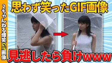 【ゆっくり爆笑図鑑】【2chおもしろgif】ワイが思わず吹いたおもしろgif画像ww【コメ付き】【ゆっくり解説】【2chスレ】【5ch】#190