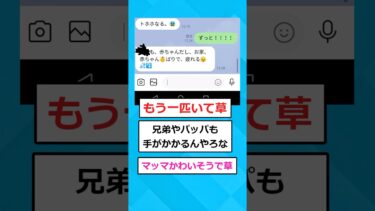 【2chホウソウキョク】【2ch面白いスレ】マッマ、突然ワイを赤ちゃん呼びわりして煽り始める！！