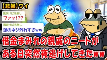 【2chおバカ問題児】【悲報】借金まみれの親戚のニートがある日突然夜逃げしてきたww【2ch面白いスレ】