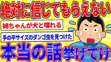 【鉄人28匹ギコ&しぃ】お前らが体験した人に言っても信じてもらえない実話【2ch面白いスレゆっくり解説】