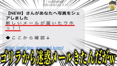 【2chバラエティ】【なにがしたいの】騙す気０の迷惑メールがお金じゃなくて笑いをとりにきてたwww笑ったら寝ろwww【ゆっくり】