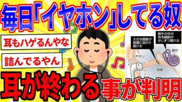 【鉄人28匹ギコ&しぃ】毎日「イヤホン」してる奴、耳が終ることが判明【2ch面白いスレゆっくり解説】