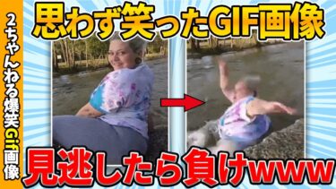 【ゆっくり爆笑図鑑】【面白gif総集編】何度見ても面白い最強gif画像集ww by 2ch【コメ付き】【ゆっくり解説】【2chスレ】【5ch】