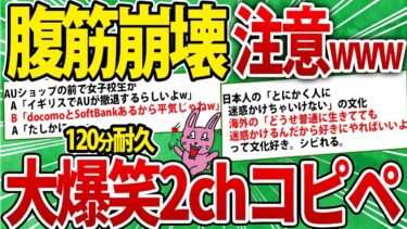 【2chウサバラ】【大総集編】どうせ暇な3連休は無心で笑っとけw120分耐久腹筋崩壊2chコピペ！