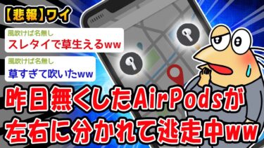 【2ch人情屋台】【悲報】昨日無くしたAirPodsが左右に分かれて逃走中ww【2ch面白いスレ】