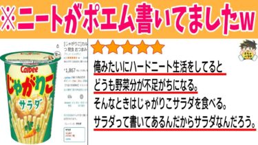 【2chバラエティ】【ポエムニキ多すぎ】Amazonのレビュー欄のポエムが面白すぎる件www笑ったら寝ろwww【ゆっくり】