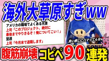 【2chウサバラ】日本の文化に触れた外国人の反応が大草原www腹筋崩壊コピペ90連発！