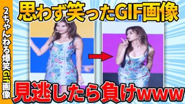 【ゆっくり爆笑図鑑】【おもしろgif】ワイが思わず笑った傑作gif画像集めたぞww by 2ch【コメ付き】【ゆっくり解説】【2chスレ】【5ch】#197