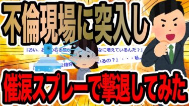 【2chで笑いを叫ぶ】不倫現場に突入し催涙スプレーで撃退してみた【2ch修羅場スレ】