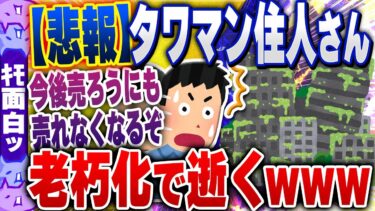 【ハチとオシン 】【ｷﾓ面白い2chスレ】【悲報】タワマン住人さん、老朽化に悲鳴！　「一生モノの買い物と思ったのに…」【ゆっくり解説】