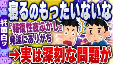 【ハチとオシン 】【ｷﾓ面白い2chスレ】【悲報】1日が終わるのがもったいないと感じて眠れない現象→『報復性夜ふかし』が原因だった…【ゆっくり解説】