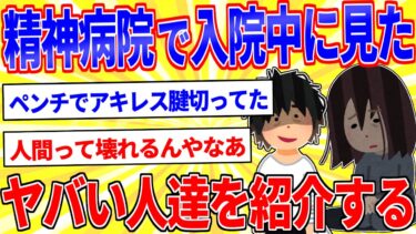 【鉄人28匹ギコ&しぃ】私(15)が精神病院で入院中に見たヤバい人達を紹介する【2ch面白いスレゆっくり解説】