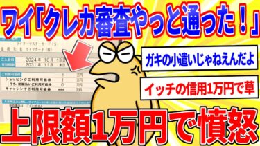 【鉄人28匹ギコ&しぃ】ワイ「クレカ審査ようやく通ったやで！」←封筒開けたら上限額1万円で憤怒【2ch面白いスレゆっくり解説】