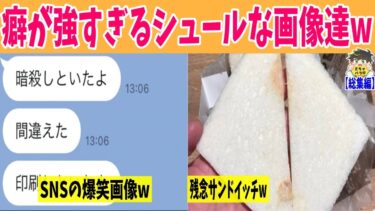 【2chバラエティ】【総集編】思わず「フフッ」っと笑ってしまうシュールな画像あつめてみたwww笑ったら寝ろwww【ゆっくり】