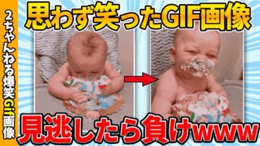 【ゆっくり爆笑図鑑】【おもしろgif総集編】思わず吹いた傑作gif画像集ww by 2ch【コメ付き】【ゆっくり解説】【2chスレ】【5ch】