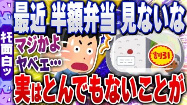 【ハチとオシン 】【ｷﾓ面白い2chスレ】【悲報】スーパーの半額弁当、〇〇の登場で消えそうwww【ゆっくり解説】