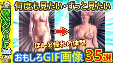 【5ちゃんねこ】ストレス発散♪面白GIF画像35連発  by 2ch