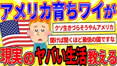 【鉄人28匹ギコ&しぃ】【2024年最新スレ】アメリカ育ちワイがアメリカ生活のヤバい現実を教える【2ch面白いスレゆっくり解説】