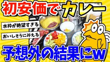 【2ch面白キッチン】【2ch面白いスレ】初安価でカレー作る！→予想外の結果にwww