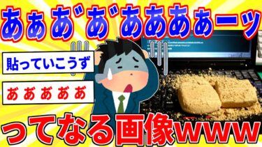 【鉄人28匹ギコ&しぃ】「あぁあ゛あ゛あ゛ああああぁーッ」ってなる画像ｗｗｗ【2ch面白いスレゆっくり解説】