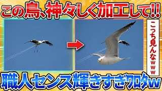 【あっぱれ2ch劇場】【2ch面白スレ】この鳥の画像をもっと神々しくしてくれ→神秘と笑いが融合しまくってワロタ【画像加工】