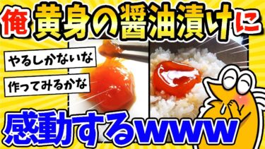 【2ch面白キッチン】【2ch面白いスレ】濃厚！黄身の醤油漬けに感動するwww