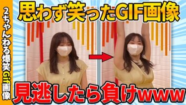 【ゆっくり爆笑図鑑】【2chおもしろgif】思わず爆笑した面白gif画像集ww by 2ch【コメ付き】【ゆっくり解説】【2chスレ】【5ch】#199