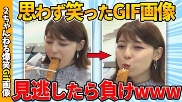 【ゆっくり爆笑図鑑】【2chおもしろgif】おもしろgif画像で吹いたら寝ろww by 2ch【コメ付き】【ゆっくり解説】【2chスレ】【5ch】#204