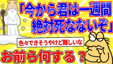 【鉄人28匹ギコ&しぃ】神「たった今から君は一週間絶対死なないぞ」←何する？【2ch面白いスレゆっくり解説】