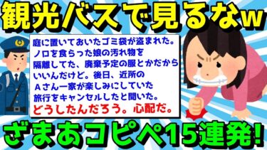 【ゆっくり君の2ch】【2ch面白いスレ】ざまあコピペでスカッと笑え！気持ちがスーッとするコピペ15連発！【ゆっくり解説】