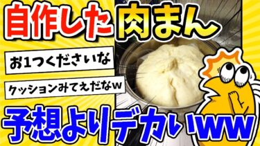 【2ch面白キッチン】【2ch面白いスレ】今肉まん蒸してるんだけど大きさがヤバイwww