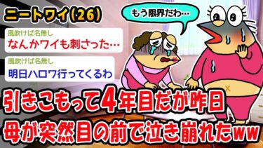 【2chおバカ問題児】【悲報】引きこもって4年目だが昨日母が突然目の前で泣き崩れたww【2ch面白いスレ】