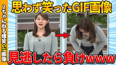 【ゆっくり爆笑図鑑】【2chおもしろgif】ワイが吹いた厳選gif画像ww by 2ch【コメ付き】【ゆっくり解説】【2chスレ】【5ch】#202