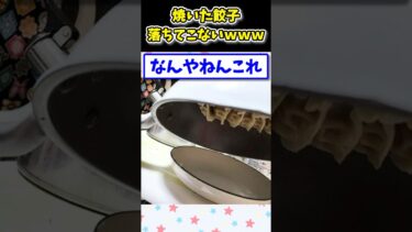 【2ch面白キッチン】【2ch面白いスレ】餃子焼いたんやがフライパンから落ちてこないwww