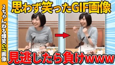 【ゆっくり爆笑図鑑】【2chおもしろgif】ワイ厳選のおもしろgif画像ww by 2ch【コメ付き】【ゆっくり解説】【2chスレ】【5ch】#193