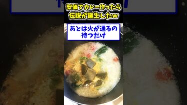 【2ch面白キッチン】【2ch面白いスレ】安価でカレー作ったら伝説が誕生したwww