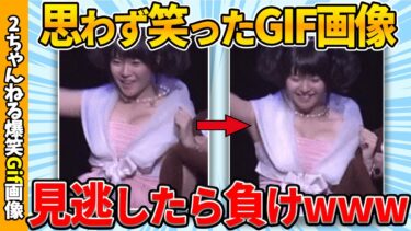 【ゆっくり爆笑図鑑】【おもしろgif】何度見ても笑える爆笑gif画像集ww by 2ch【コメ付き】【ゆっくり解説】【2chスレ】【5ch】#198