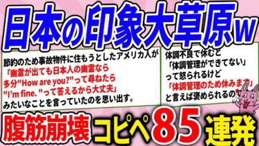 【2chウサバラ】外国人から見た日本の印象が大草原！腹筋崩壊コピペ85連発！