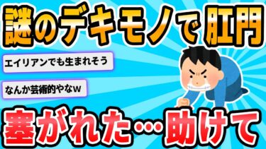 【2chが好きなんだお】【2ch面白いスレ】ワイ、お尻に謎のデキモノが出来て肛門をガン塞ぎしてしまう