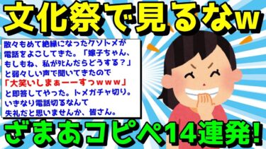 【ゆっくり君の2ch】【2ch面白いスレ】ざまあコピペでスカッとしようぜ！明るく笑えるコピペ14連発！【ゆっくり解説】