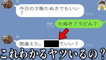 【2chバラエティ】【誤字LINE】オカンの誤字LINEがガチで解読不可能だったwww笑ったら寝ろwww【ゆっくり】