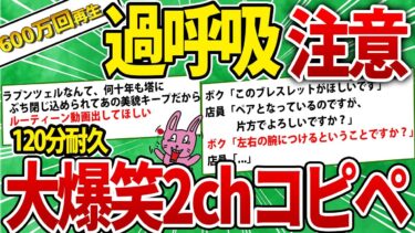 【2chウサバラ】【大総集編】600万人が爆笑した！120分耐久腹筋崩壊コピペ413連発！