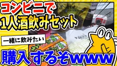 【2ch面白キッチン】【2ch面白いスレ】安価でコンビニに行って一人酒飲みセット買ってくるwww