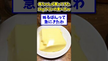 【2ch面白キッチン】【2ch面白いスレ】ワイの母ちゃんが買ってきた1kgプリンの食べ方www