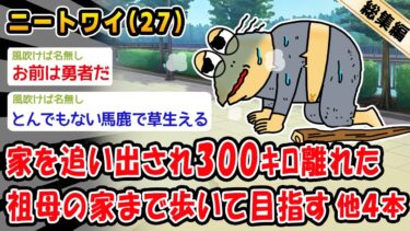 【2chおバカ問題児】【悲報】家を追い出され300ｷﾛ離れた祖母の家まで歩いて目指す。他4本を加えた総集編【2ch面白いスレ】