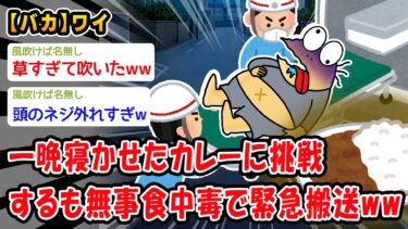 【2chおバカ問題児】【バカ】一晩寝かせたカレーに挑戦するも無事食中毒で緊急搬送ww【2ch面白いスレ】